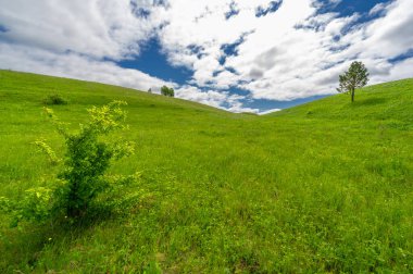 İlkbahar fotoğrafçılığı, çayırlar, tarlalar, vadiler, tepeler, kırsal alanlar..