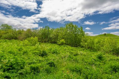 İlkbahar fotoğrafçılığı, çayırlar, tarlalar, vadiler, tepeler, kırsal alanlar..