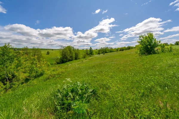 Frühlingsfotos Wiesen Felder Schluchten Hügel Ländliche Landschaft — Stockfoto