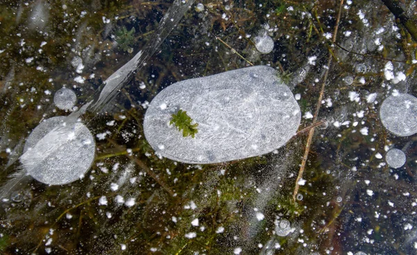 Gel Dans Rue Glace Sur Rivière Des Bulles Glace Coincées — Photo