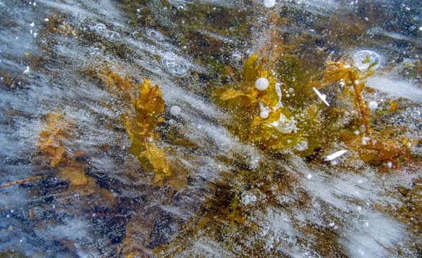 Herrscht Frost Auf Der Straße Eis Auf Dem Fluss Eisblasen — Stockfoto