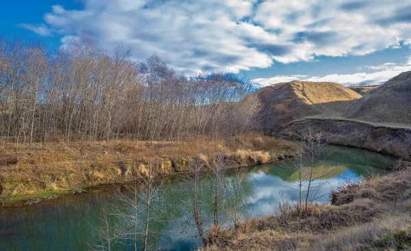 Autumn winter landscape, november. The end of the month. A sad, gloomy season, nature is waiting for snow,