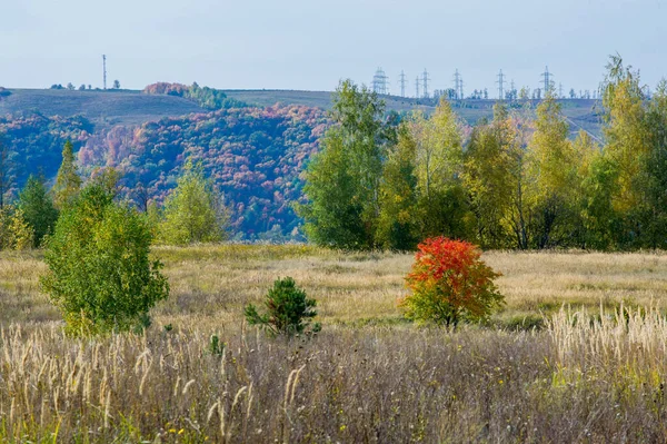 Herfst Landschap Fotografie Kleurrijke Bladeren Aan Bomen Van Herfst Porie — Stockfoto