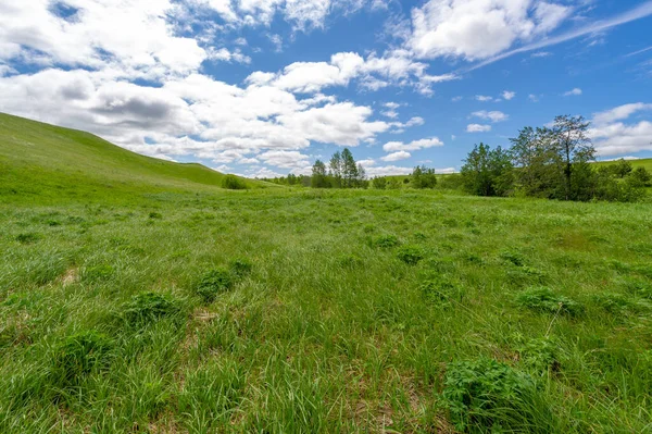 Primavera Fotografía Prados Campos Barrancos Colinas Paisaje Rural — Foto de Stock