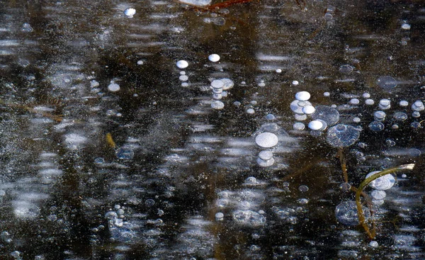 Frost Street Ice River Ice Bubbles Stuck Ice Unusually Colorful — Stock Photo, Image