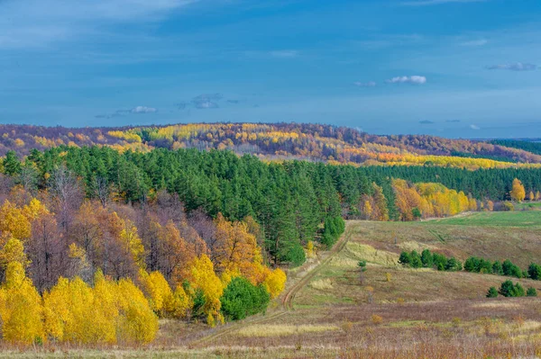 Jesienny Krajobraz Najlepszy Fotograf Lasy Mieszane Stanie Jesiennym Kolorowe Liście — Zdjęcie stockowe