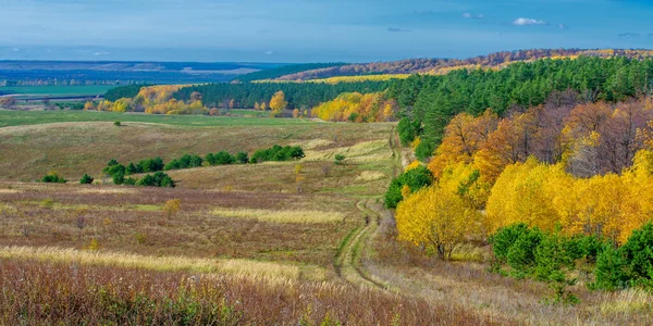 Hösten Landskap Fotografi Bästa Fotograf Blandade Skogar Höst Skick Färgglada — Stockfoto