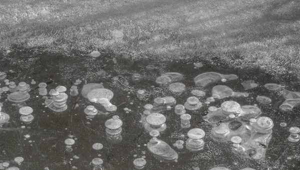 Gel Dans Rue Glace Sur Rivière Des Bulles Glace Coincées — Photo