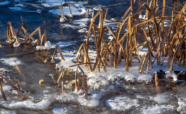 Улице Мороз Реке Лед Ледяные Пузырьки Застряли Льду Необычайно Красочная — стоковое фото