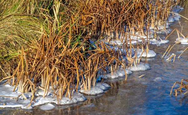 Hay Heladas Calle Hielo Río Burbujas Hielo Atrapadas Hielo Arquitectura — Foto de Stock