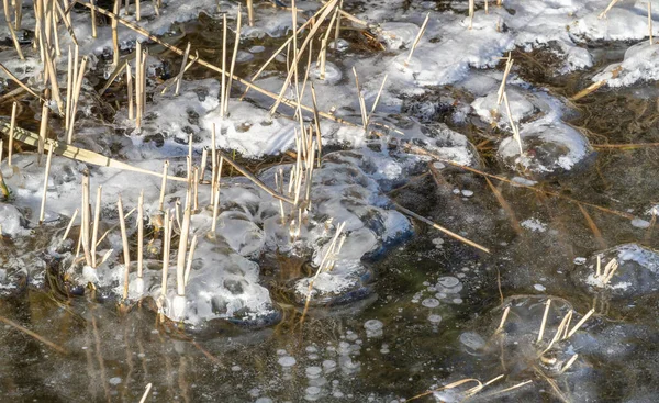 Hay Heladas Calle Hielo Río Burbujas Hielo Atrapadas Hielo Arquitectura —  Fotos de Stock