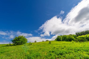 İlkbahar fotoğrafçılığı, çayırlar, tarlalar, vadiler, tepeler, kırsal alanlar..