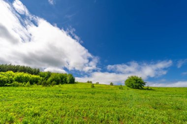 İlkbahar fotoğrafçılığı, çayırlar, tarlalar, vadiler, tepeler, kırsal alanlar..