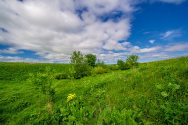 İlkbahar fotoğrafçılığı, çayırlar, tarlalar, vadiler, tepeler, kırsal alanlar..