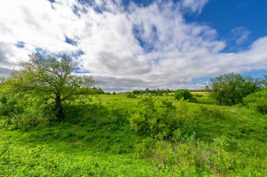 İlkbahar fotoğrafçılığı, çayırlar, tarlalar, vadiler, tepeler, kırsal alanlar..