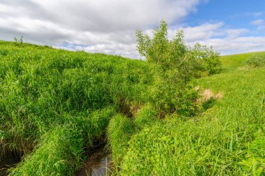 İlkbahar fotoğrafçılığı, çayırlar, tarlalar, vadiler, tepeler, kırsal alanlar..