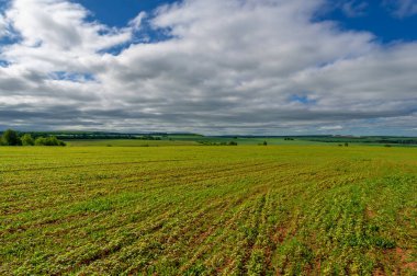 İlkbahar fotoğrafçılığı, çayırlar, tarlalar, vadiler, tepeler, kırsal alanlar..