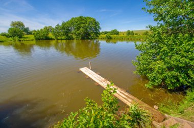 Yaz manzarası, bunaltıcı yaz günleri, ılık suyla dolu bir göl, ılık kuzey yarımkürede yaşayan fındık ağacı. Çalılar