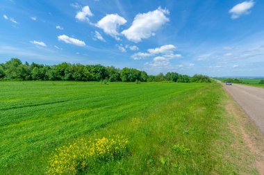 Bahar fotoğrafçılığı, manzara, yerel yol, belirli bir bölgeye ya da mahalleye ait olmak ya da onunla ilişkili olmak, genellikle böyle..