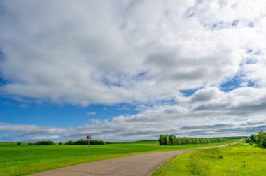 Bahar fotoğrafçılığı, manzara, yerel yol, belirli bir bölgeye ya da mahalleye ait olmak ya da onunla ilişkili olmak, genellikle böyle..