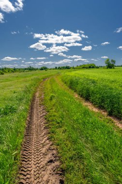İlkbahar fotoğrafçılığı, manzara, toprak yol ya da dünyanın içinden geçtiği yol.