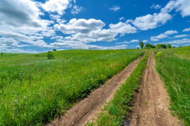 İlkbahar fotoğrafçılığı, manzara, toprak yol ya da dünyanın içinden geçtiği yol.