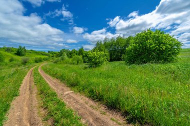 İlkbahar fotoğrafçılığı, manzara, toprak yol ya da dünyanın içinden geçtiği yol.