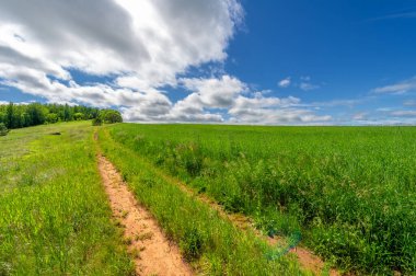 İlkbahar fotoğrafçılığı, manzara, toprak yol ya da dünyanın içinden geçtiği yol.