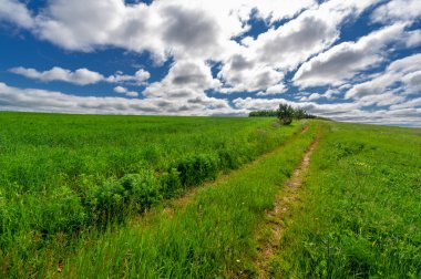 İlkbahar fotoğrafçılığı, manzara, toprak yol ya da dünyanın içinden geçtiği yol.