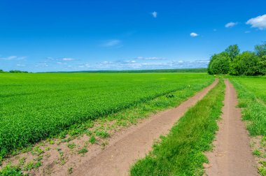 İlkbahar fotoğrafçılığı, manzara, toprak yol ya da dünyanın içinden geçtiği yol.