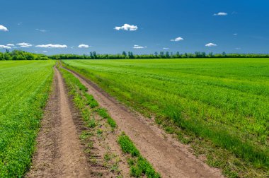 İlkbahar fotoğrafçılığı, manzara, toprak yol ya da dünyanın içinden geçtiği yol.