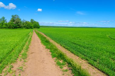 İlkbahar fotoğrafçılığı, manzara, toprak yol ya da dünyanın içinden geçtiği yol.