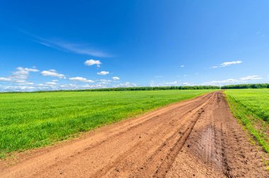 İlkbahar fotoğrafçılığı, manzara, toprak yol ya da dünyanın içinden geçtiği yol.