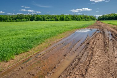 İlkbahar fotoğrafçılığı, manzara, toprak yol ya da dünyanın içinden geçtiği yol.