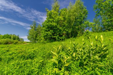 Bahar fotoğrafçılığı, bulutlu gökyüzü manzarası..
