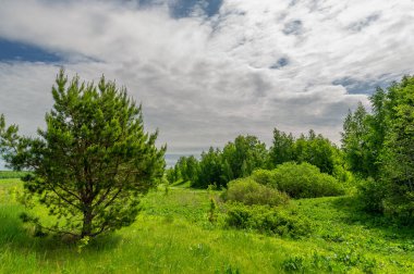 Bahar fotoğrafçılığı, bulutlu gökyüzü manzarası..