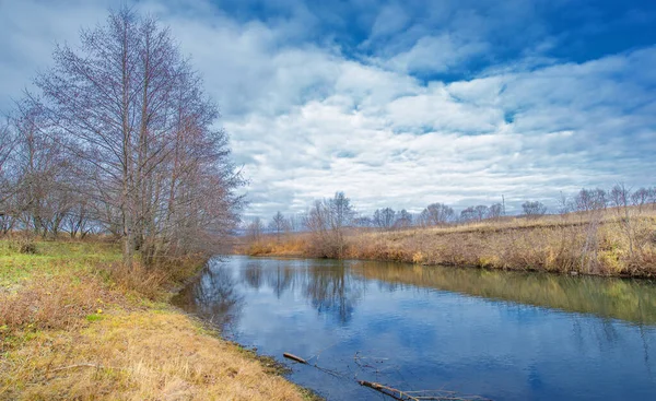 Autumn winter landscape, november. The end of the month. A sad, gloomy season, nature is waiting for snow,