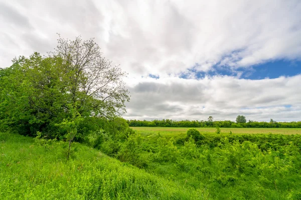 Primavera Fotografía Prados Campos Barrancos Colinas Paisaje Rural — Foto de Stock