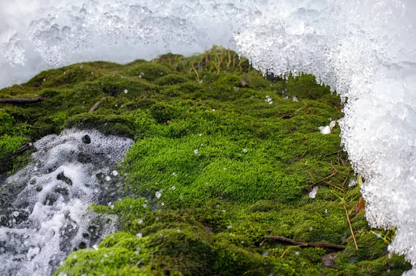 Paesaggio Invernale Ghiaccio Primavera Acqua Ghiacciata Solido Cristallino Fragile Trasparente — Foto Stock