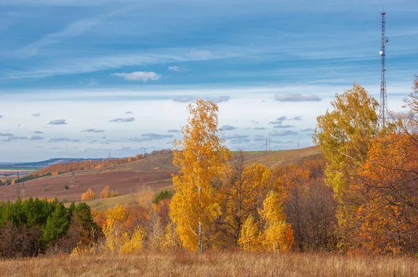 Hösten Landskap Fotografi Bästa Fotograf Blandade Skogar Höst Skick Färgglada — Stockfoto