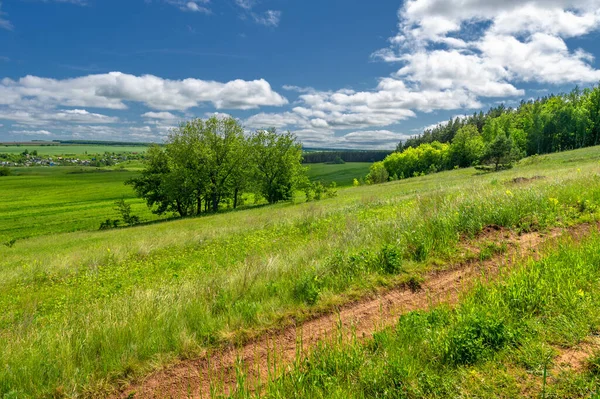 Spring Photography Landscape Dirt Road Path Made Earth Surface Which — Stock Photo, Image