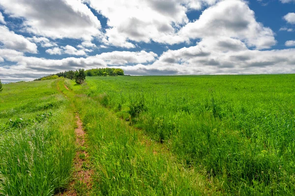 İlkbahar fotoğrafçılığı, manzara, toprak yol ya da dünyanın içinden geçtiği yol.