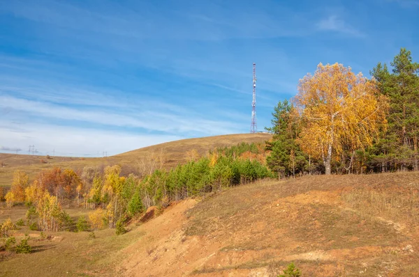 Fotografía Paisaje Otoñal Mejor Fotógrafo Bosques Mixtos Estado Otoñal Hojas — Foto de Stock