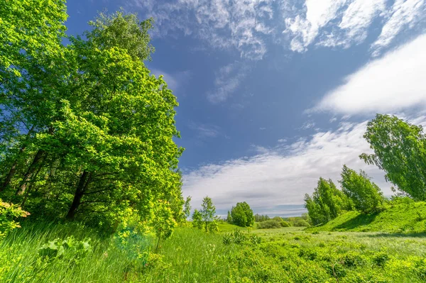 Spring photography, landscape with a cloudy sky.