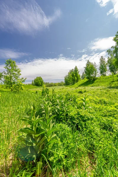 Весняна Фотографія Пейзаж Хмарним Небом — стокове фото