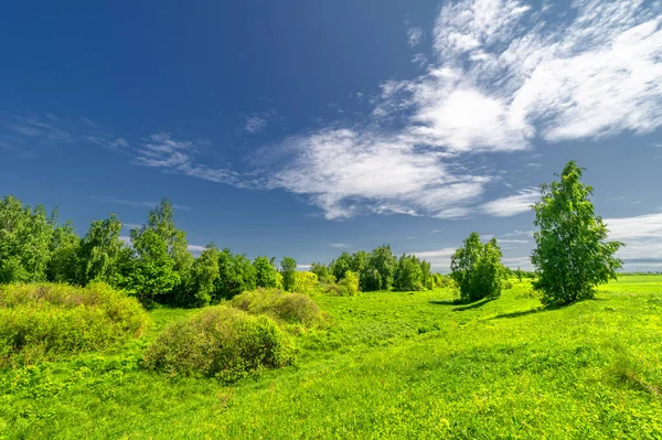 Spring photography, landscape with a cloudy sky.