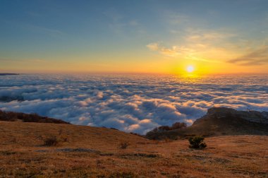Kırım yarımadasının sonbahar fotoğrafları. Bulutların üstündeki dağlarda. Kayın, çam, boynuz, Demerdji dağlarındaki orman.