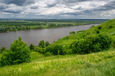 Yaz manzarası, büyük bir nehir, nehrin kıyısında çayır çiçekleri, gökyüzünde güçlü bulutlar, Kama Nehri boyunca bir turist yürüyüşü.