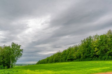 Bahar fotoğrafçılığı, bulutlu gökyüzü manzarası. Nitrojen ve fosfat gübreli genç buğday, yeşil lahanalar, tahıllar ve beyaz unun hazırlandığı tahıllar.