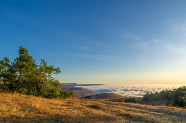 Kırım yarımadasının sonbahar fotoğrafları. Bulutların üstündeki dağlarda. Kayın, çam, boynuz, Demerdji dağlarındaki orman.